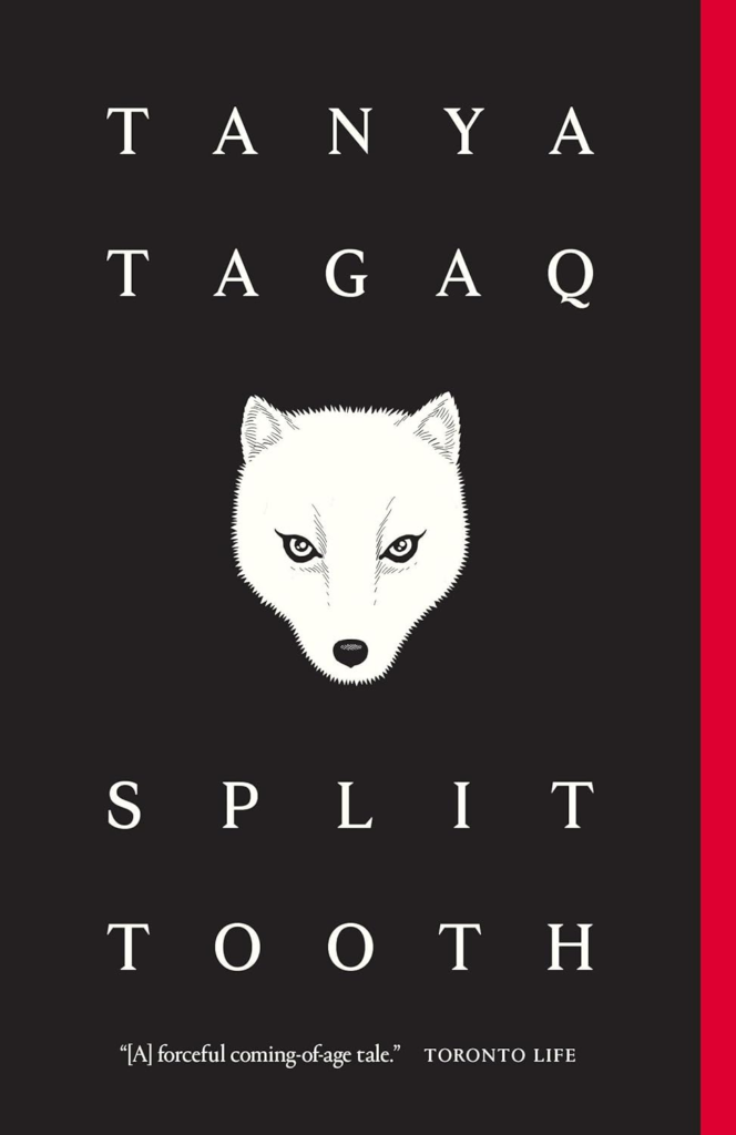 books by native american authors: split tooth book cover